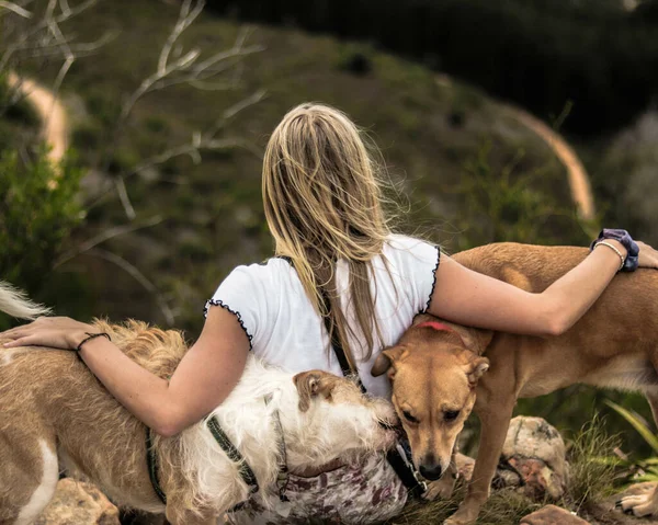 Una Vista Trasera Una Hembra Rubia Abrazando Sus Perros Mientras —  Fotos de Stock