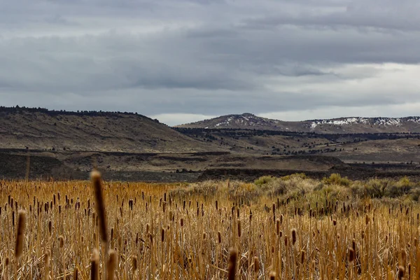 Pohled Pole Katapultů Pod Zataženou Oblohou Východním Oregonu — Stock fotografie