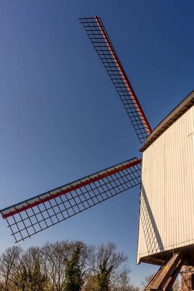 Grande Mulino Vento Una Giornata Sole Belgio Bruges — Foto Stock