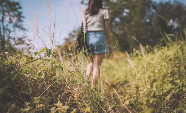Вид Ззаду Молодої Жінки Ходить Полю Літній День — стокове фото