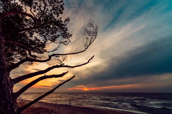 Ein Farbenfroher Sonnenuntergang Der Sandküste Der Ostsee Litauen — Stockfoto