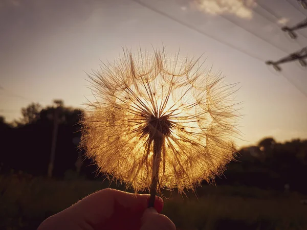 Tiro Perto Uma Mão Segurando Uma Bola Sopro Sol — Fotografia de Stock