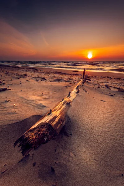 Vertikal Bild Naturskön Solnedgång Vid Östersjöns Sandkust Litauen — Stockfoto