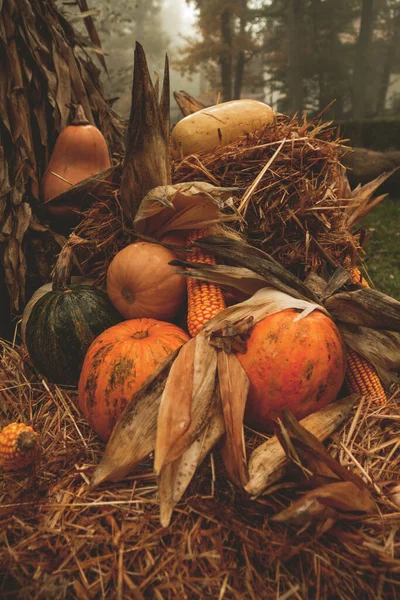 Plan Vertical Arrangement Halloween — Photo