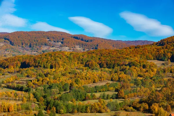 Vue Aérienne Paysage Avec Forêt Aux Couleurs Vert Jaune Sur — Photo