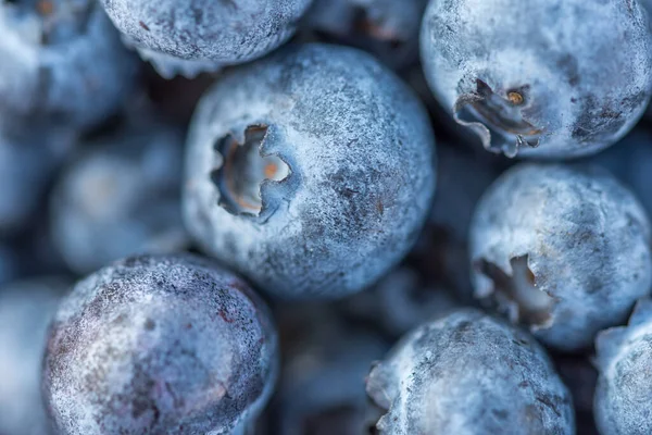 Zbliżenie Pysznych Zdrowych Organicznych Jagód — Zdjęcie stockowe