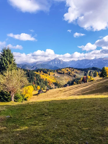 Uma Bela Vista Casas Rurais Cercadas Por Densas Florestas Montanhas — Fotografia de Stock