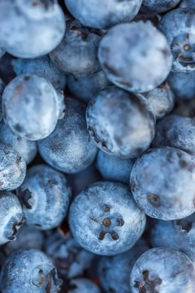 Primer Plano Deliciosos Saludables Arándanos Orgánicos — Foto de Stock