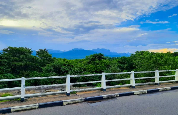 Bulutlu Bir Günde Ormanın Etrafındaki Yolda Bir Solucanın Güzel Bir — Stok fotoğraf