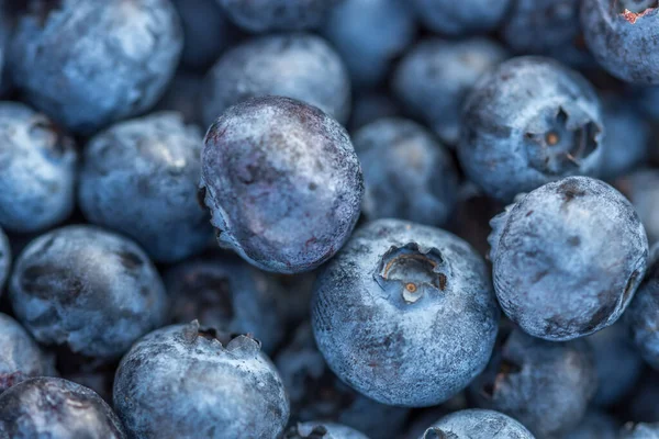 stock image A close-up shot of delicious, healthy, organic blueberries