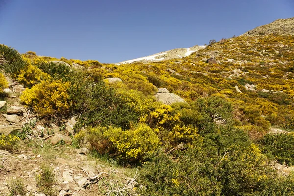 西班牙瓜德拉马山脉的风景 — 图库照片