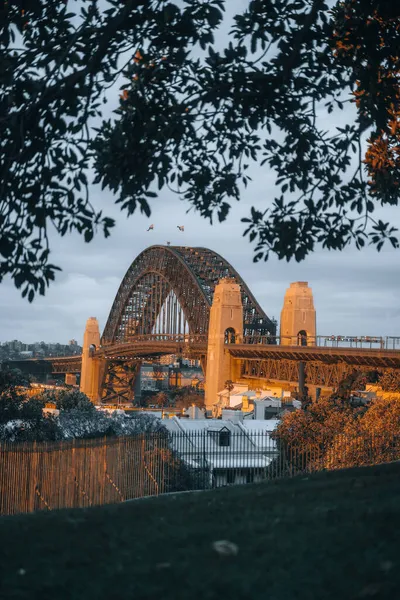 Vertical Shot Sydney Harbour Bridge Seen Observatory Hill Park Australia — Stock Photo, Image