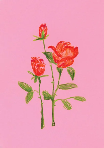 분홍색 배경에 꽃으로 — 스톡 사진