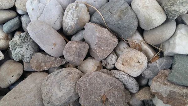 海滩上的鹅卵石特写 — 图库照片