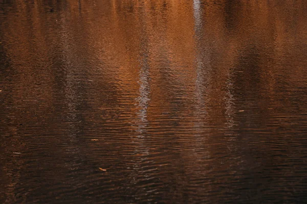 Egy Közelsége Ahol Ősszel Fák Tükröződnek Vízen — Stock Fotó
