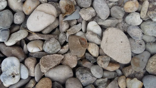ビーチで小石のクローズアップショット — ストック写真