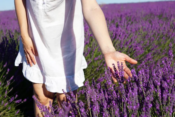 Naturskön Bild Kvinna Vit Klänning Ett Lavendelfält — Stockfoto