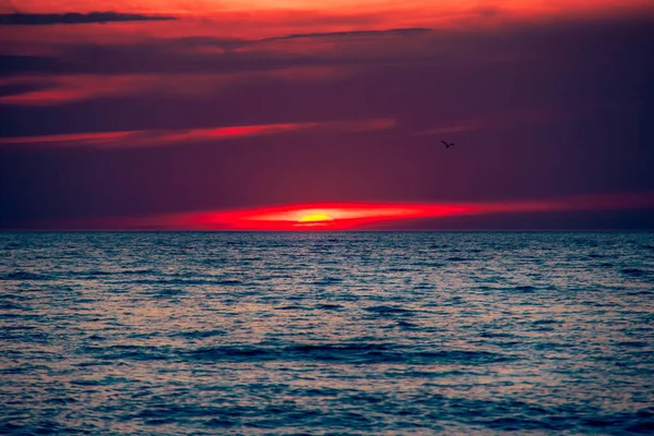 Puesta Sol Costa Del Mar Báltico Lituania — Foto de Stock