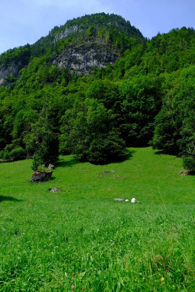 Vertikal Över Haute Savoie Alpes Frankrike — Stockfoto