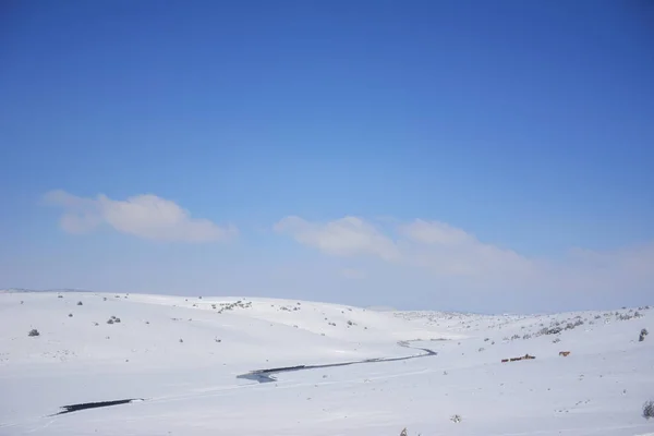 Eine Wunderschöne Winterlandschaft Mit Schneebedeckten Hügeln — Stockfoto