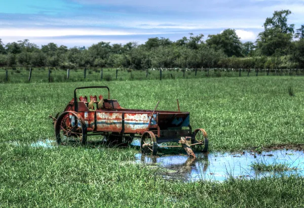 Uma Velha Carroça Enferrujada Perto Lagoa Campo — Fotografia de Stock