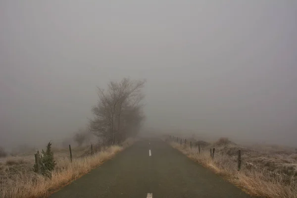 Дорога Сільській Місцевості Туманний День — стокове фото