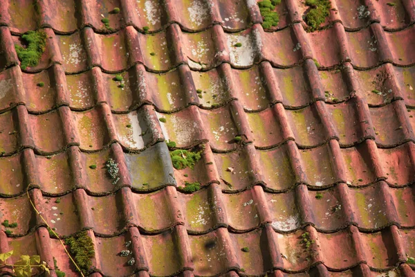 Old Roof Tiles Moss — Stock Photo, Image