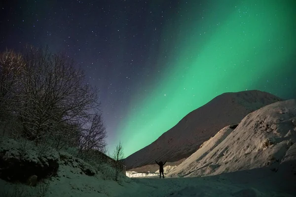 มมองท าหลงใหลของ Aurora Borealis เหน เขาในย านอาร กในนอร เวย — ภาพถ่ายสต็อก