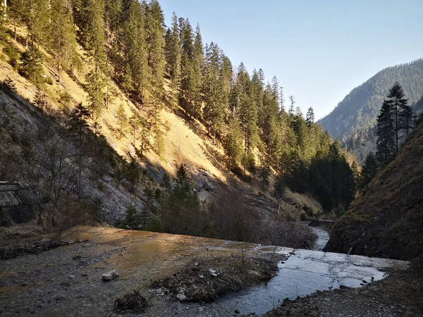 Hermoso Plano Paisaje Durante Día Invierno —  Fotos de Stock