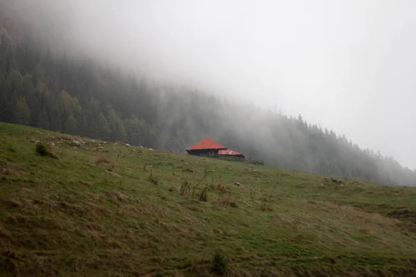 Туманный Пейзаж Маленьким Домом Густыми Деревьями Заднем Плане — стоковое фото