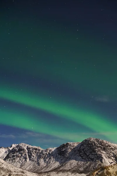 노르웨이의 지역인크 발로야에 눈덮인 북극광을 바라보는 오로라의 — 스톡 사진