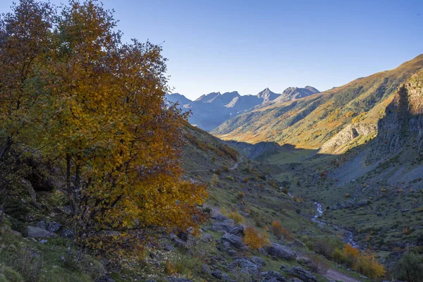 Paysage Collines Rocheuses Couvertes Verdure Dans Les Pyrénées Europe — Photo