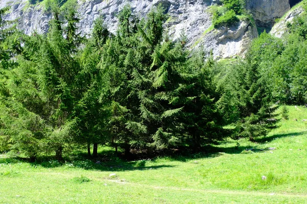 Une Vue Paysage Naturelle Haute Savoie Alpes France — Photo