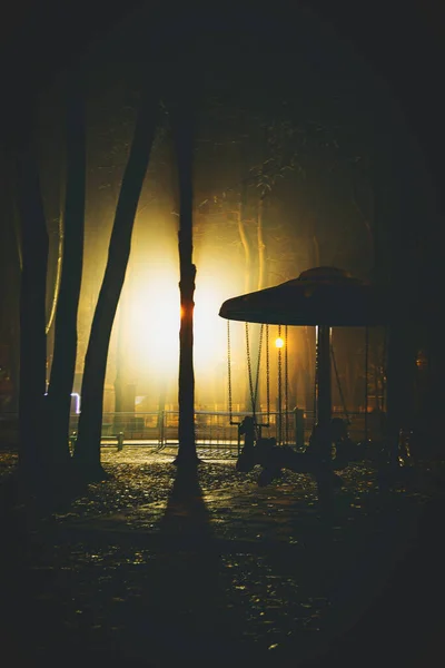 Geceleri Oyun Parkının Dikey Görüntüsü — Stok fotoğraf