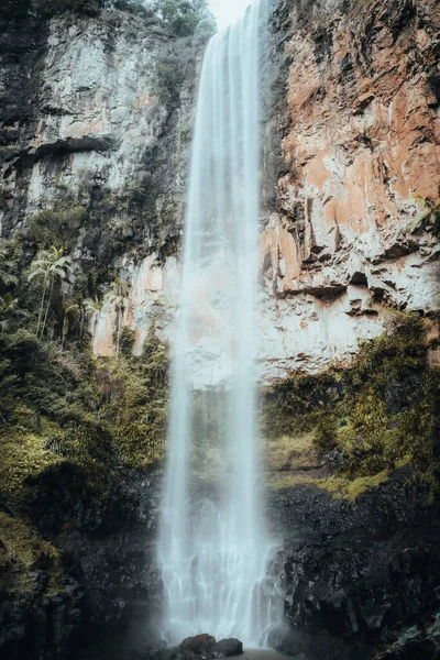 Vertikální Snímek Purling Brook Falls Národním Parku Springbrook Austrálie — Stock fotografie