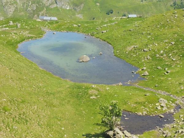 Sjön Omgiven Grönt Gräs — Stockfoto