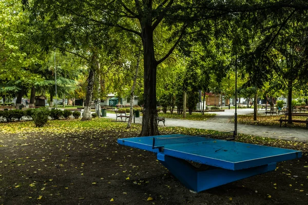 Gyönyörű Kilátás Nyílik Parkra Egy Kék Ping Pong Asztallal Fák — Stock Fotó