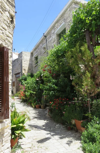 Plano Vertical Una Calle Griega Chipre — Foto de Stock