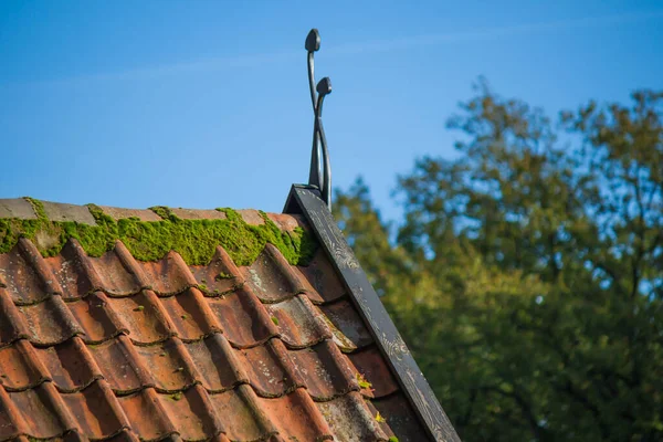 Old Mossy Tiles Roof Clear Sky — Stock Photo, Image