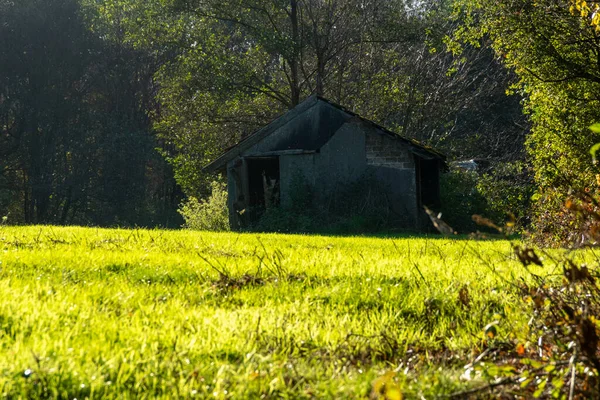 Natürliche Aufnahme Eines Alten Holzhauses Auf Der Wiese — Stockfoto