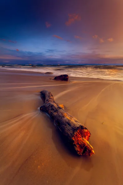 Живописный Вид Закат Большим Стволом Дерева Лежащим Песке Побережье Балтийского — стоковое фото