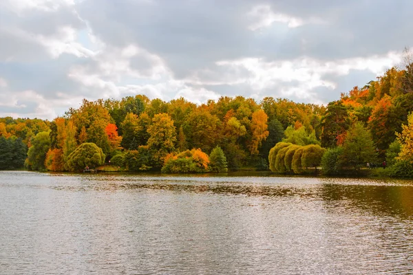 Beautiful Shot Yellowing Trees Calm Lake Autumn Day — Stock Photo, Image