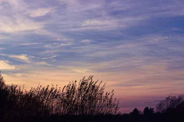 Красивый Снимок Захватывающего Дух Пейзажа Облачным Небом — стоковое фото