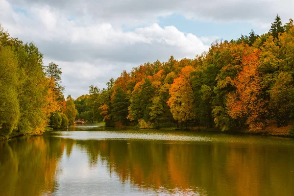 Krásný Záběr Žloutnoucích Stromů Klidné Jezero Podzimní Den — Stock fotografie