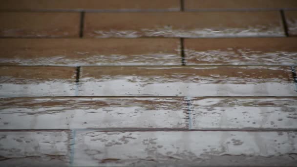 Gotas Lluvia Cayendo Sobre Suelo Ladrillo Viejo — Vídeo de stock