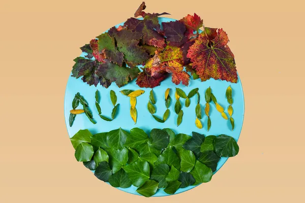 Barevná Kompozice Slovem Podzim Modrém Kruhu Barevnými Listy Béžovém Pozadí — Stock fotografie