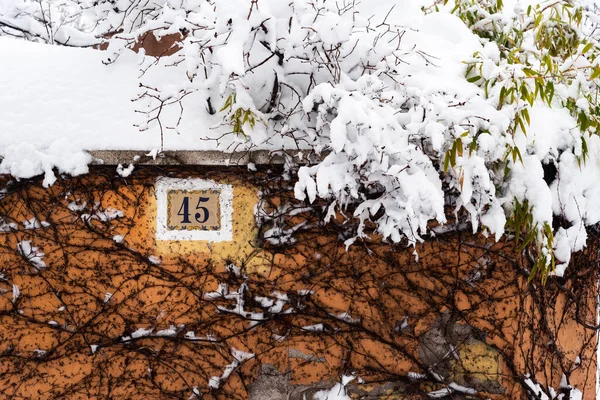 Zaun Bei Starkem Schneefall Mit Umgestürzten Bäumen Eingeschneit Sturm Filomena — Stockfoto