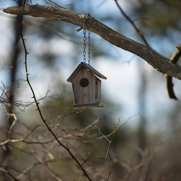 Een Klein Houten Vogelhuisje Hangend Aan Een Boomtak — Stockfoto
