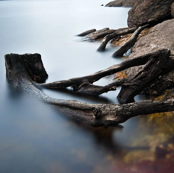 Uma Longa Exposição Tiro Margem Lago Com Pedras Troncos — Fotografia de Stock