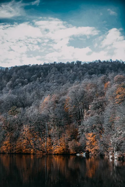 Een Verticaal Schot Van Lake Parz Omringd Door Bomen Herfst — Stockfoto